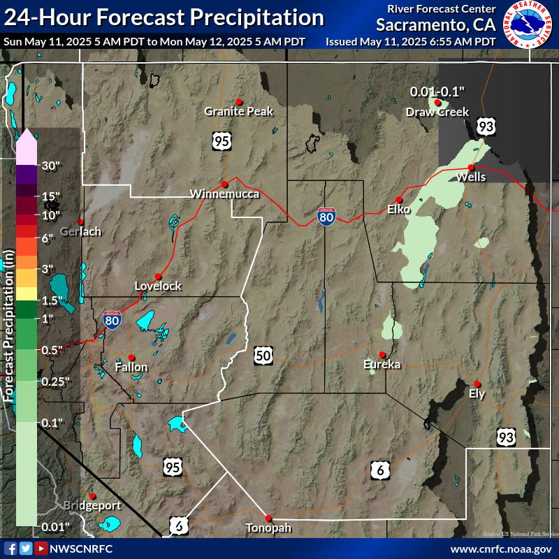 Precipitation Forecast