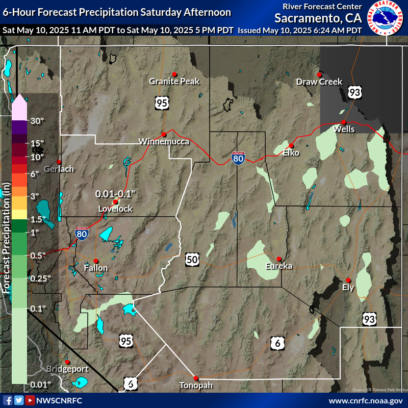 Precipitation Forecast