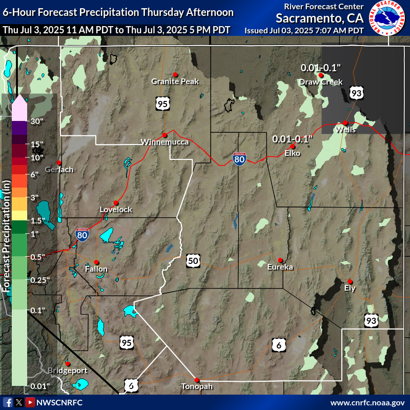 Precipitation Forecast