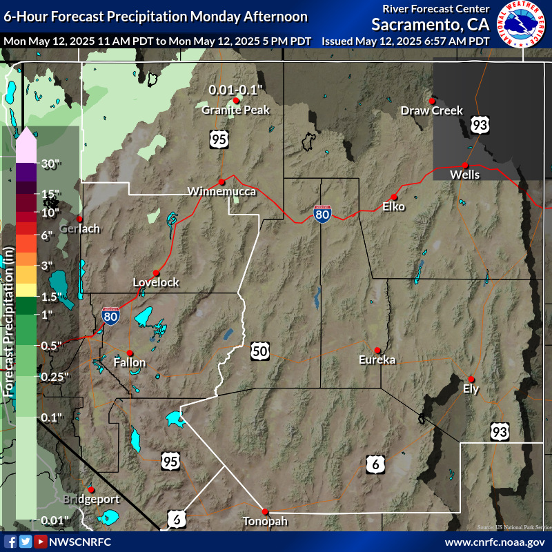 Precipitation Forecast