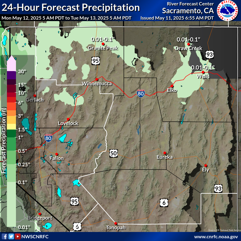 Precipitation Forecast