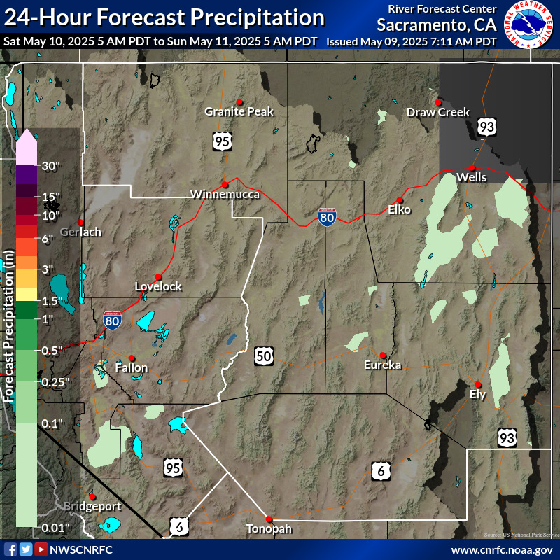 Precipitation Forecast