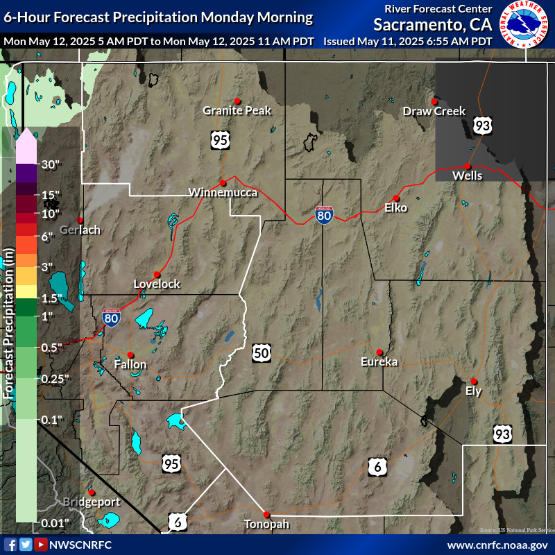 Precipitation Forecast