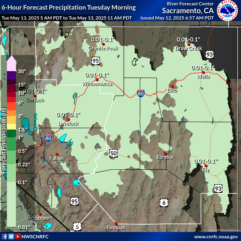 Precipitation Forecast