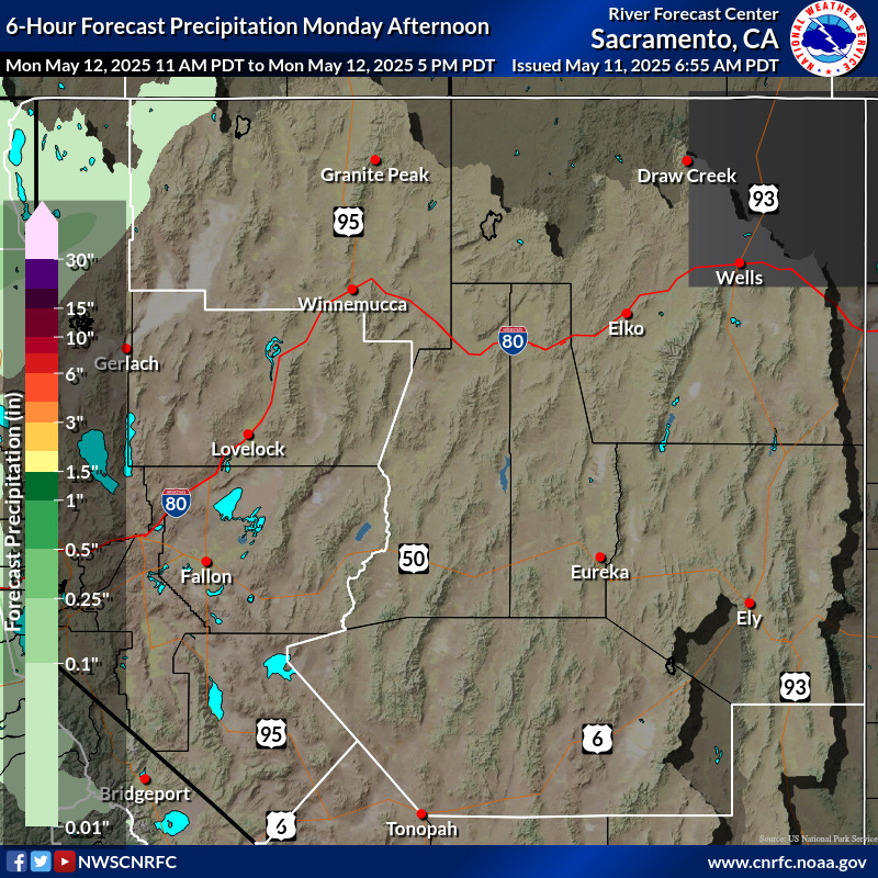 Precipitation Forecast