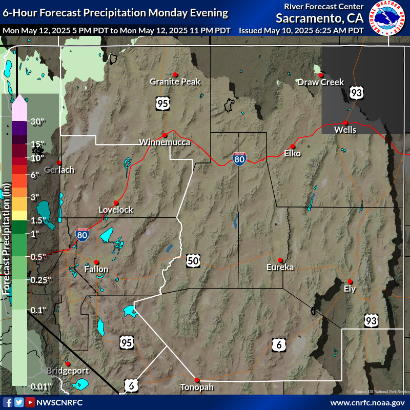 Precipitation Forecast