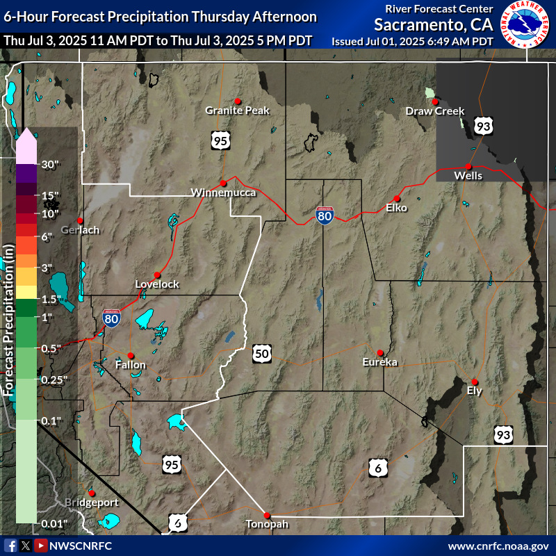 Precipitation Forecast