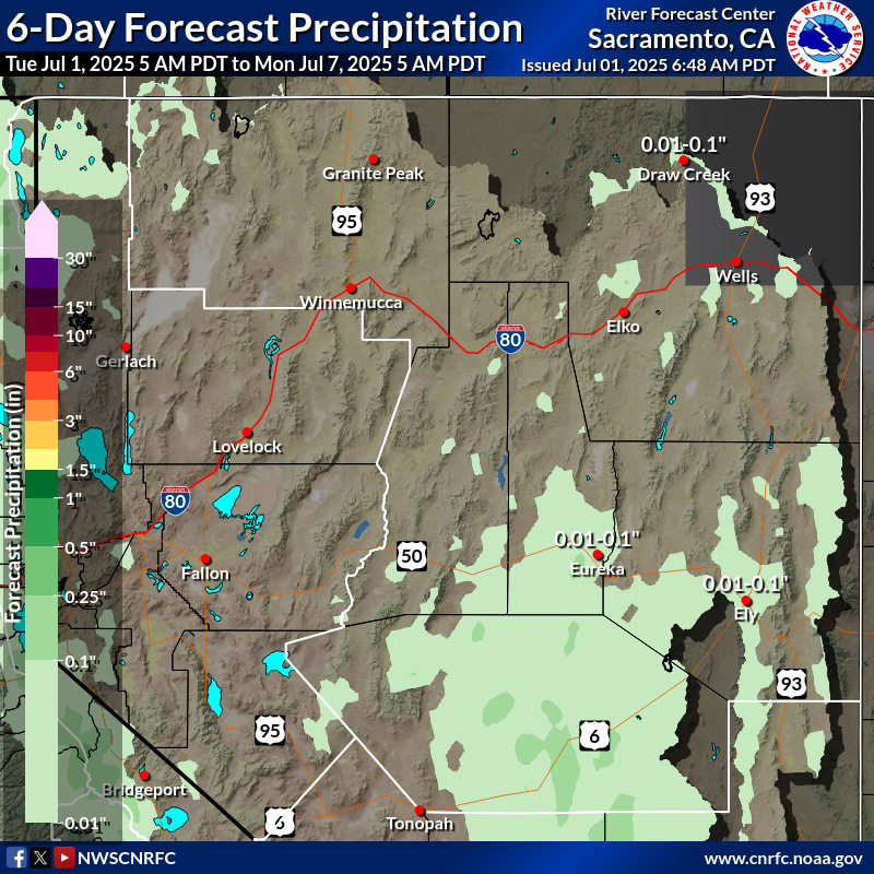 Precipitation Forecast