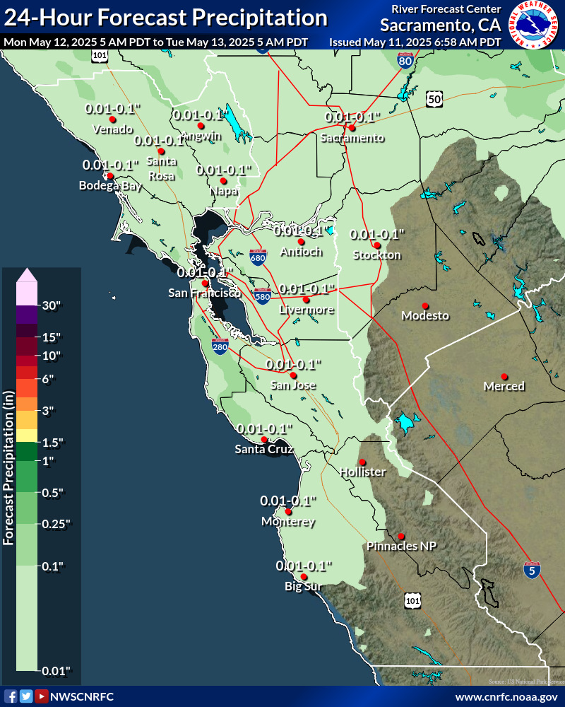 Precipitation Forecast