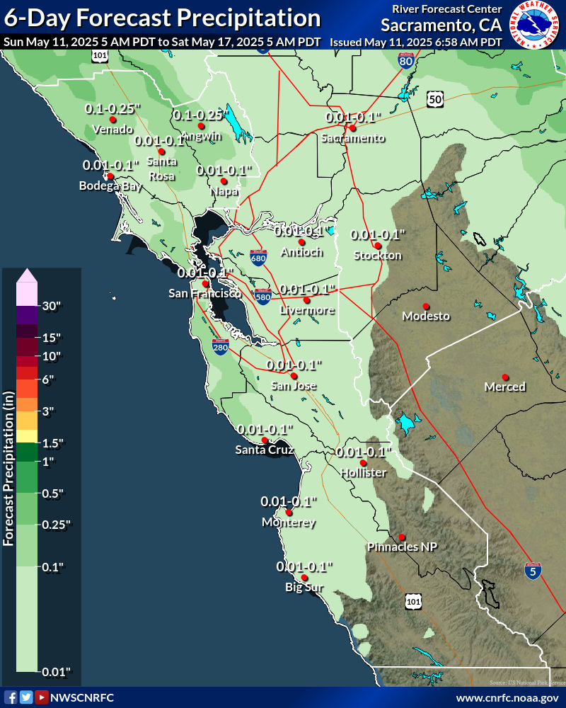 Precipitation Forecast