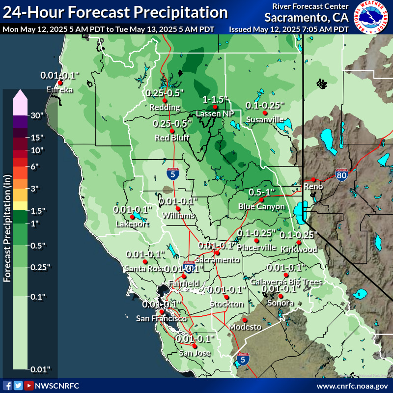 Precipitation Forecast