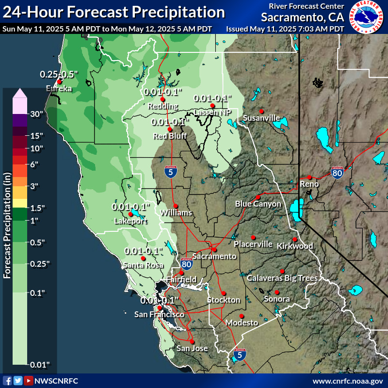 Precipitation Forecast
