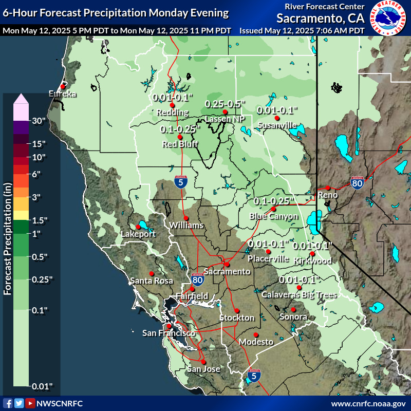Precipitation Forecast