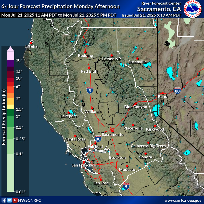Precipitation Forecast