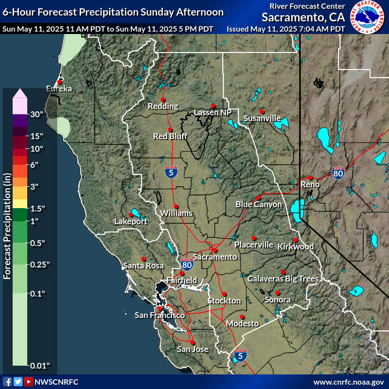 Precipitation Forecast