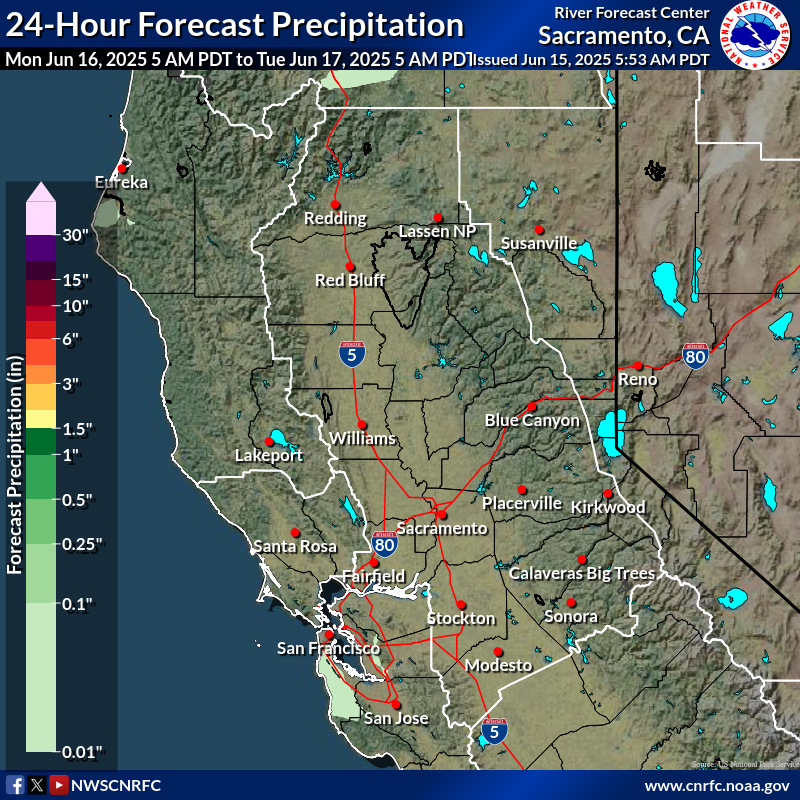 Precipitation Forecast