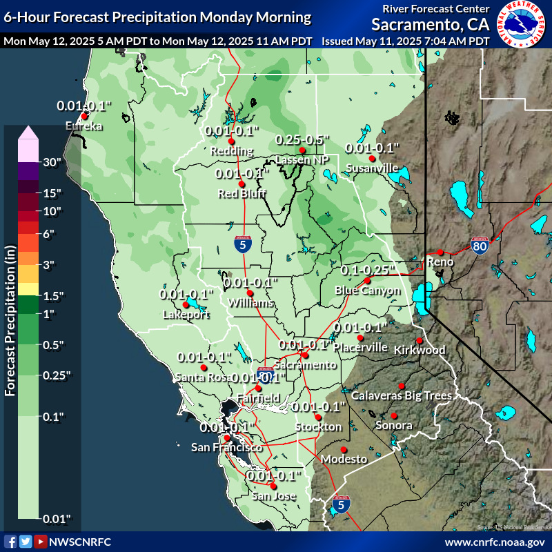 Precipitation Forecast