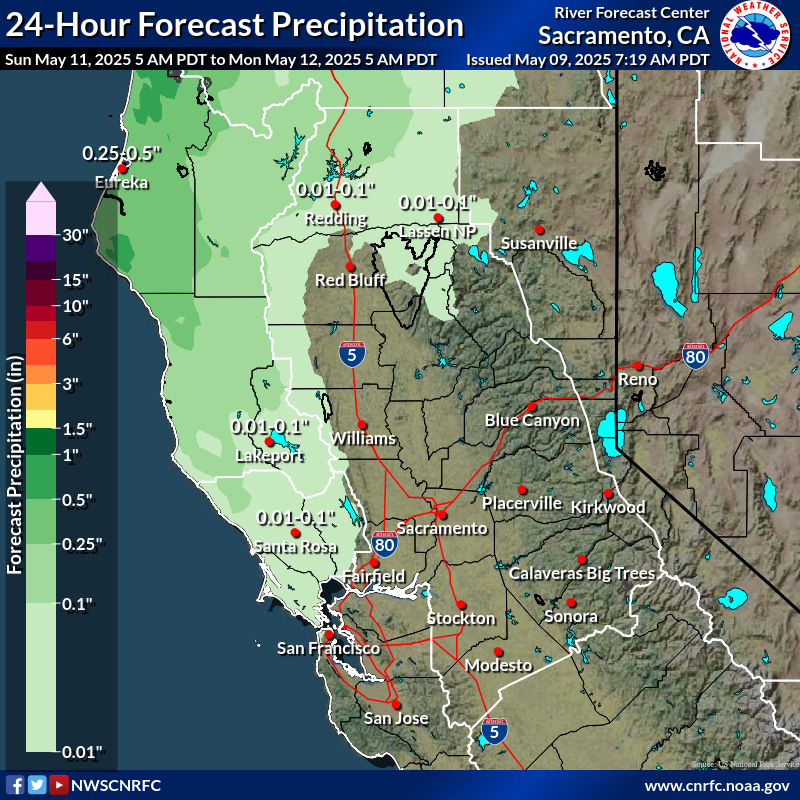 Precipitation Forecast