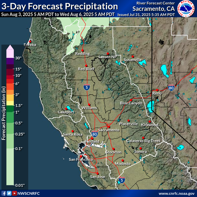Precipitation Forecast