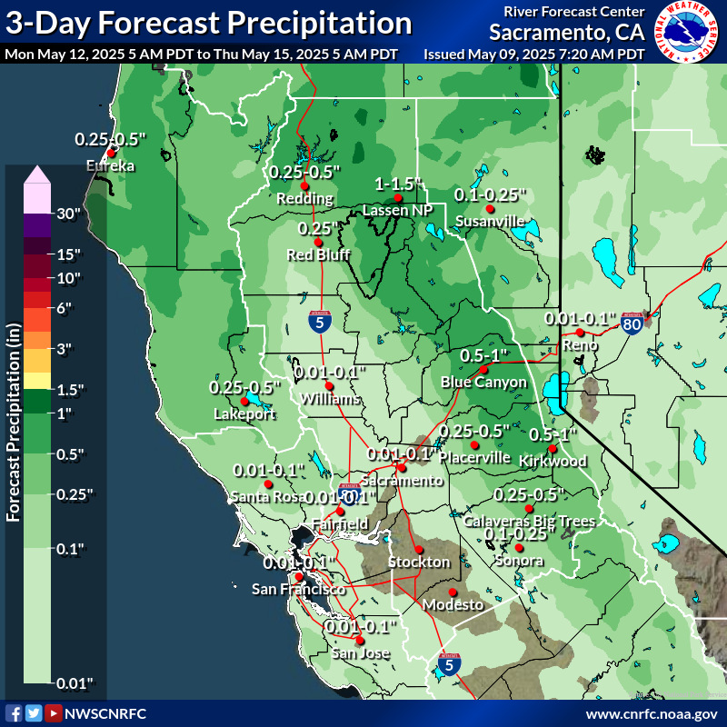 Precipitation Forecast