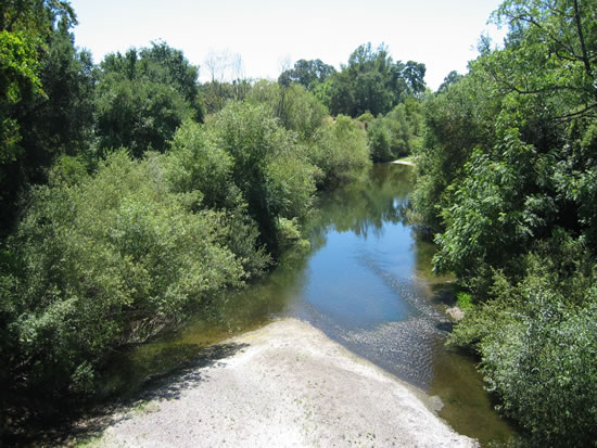 DOWNSTREAM PHOTOGRAPH - NAPA RIVER - NAPA (APCC1)