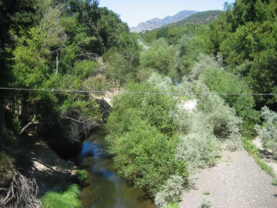 UPSTREAM PHOTOGRAPH - NAPA RIVER - NAPA (APCC1)