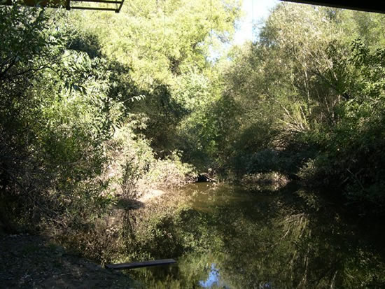 DOWNSTREAM PHOTOGRAPH - PAJARO RIVER - CHITTENDEN (AROC1)