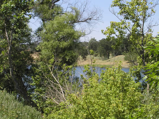 DOWNSTREAM PHOTOGRAPH - SACRAMENTO RIVER - BEND BRIDGE (BDBC1)