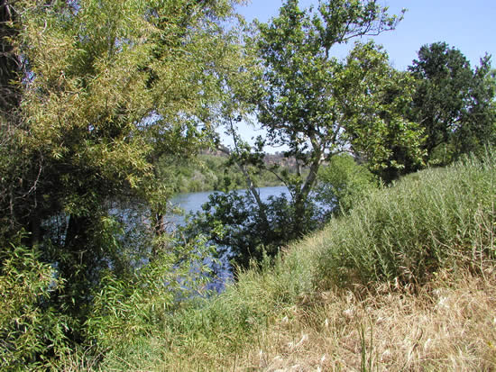 UPSTREAM PHOTOGRAPH - SACRAMENTO RIVER - BEND BRIDGE (BDBC1)