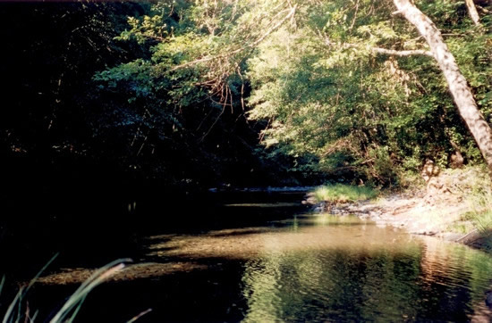 DOWNSTREAM PHOTOGRAPH - REDWOOD CREEK - BLUE LAKE (BLKC1)