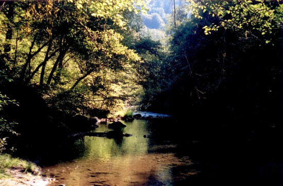 UPSTREAM PHOTOGRAPH - REDWOOD CREEK - BLUE LAKE (BLKC1)