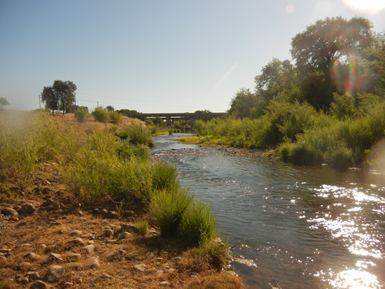 UPSTREAM PHOTOGRAPH - BEAR RIVER - WHEATLAND (BRWC1)