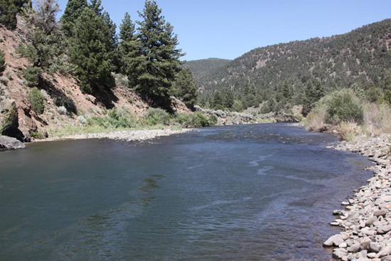 DOWNSTREAM PHOTOGRAPH - EAST FORK CARSON RIVER - MARKLEEVILLE (CEMC1)