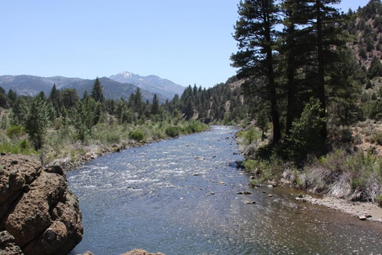 UPSTREAM PHOTOGRAPH - EAST FORK CARSON RIVER - MARKLEEVILLE (CEMC1)