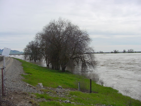 DOWNSTREAM PHOTOGRAPH - SACRAMENTO RIVER - COLUSA WEIR (CLAC1)