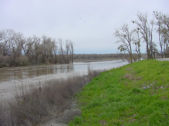 UPSTREAM PHOTOGRAPH - SACRAMENTO RIVER - COLUSA WEIR (CLAC1)