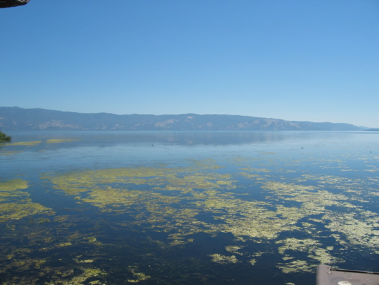 LEFT OF GAGE PHOTOGRAPH - CLEAR LAKE - LAKEPORT (CLKC1)