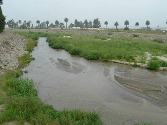 DOWNSTREAM PHOTOGRAPH - CALLEGUAS CREEK - CSU CHANNEL ISLANDS (CLLC1)