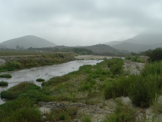 UPSTREAM PHOTOGRAPH - CALLEGUAS CREEK - CSU CHANNEL ISLANDS (CLLC1)