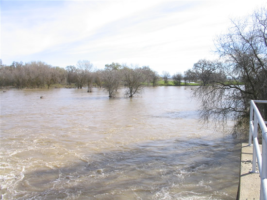 DOWNSTREAM PHOTOGRAPH - SACRAMENTO RIVER - MOULTON WEIR (CLSC1)