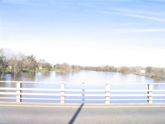 UPSTREAM PHOTOGRAPH - SACRAMENTO RIVER - COLUSA BRIDGE (CLUC1)