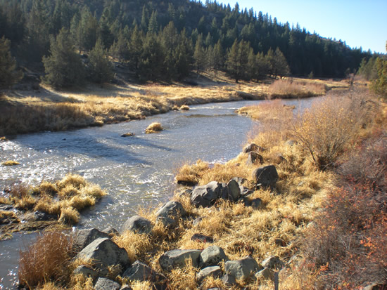 DOWNSTREAM PHOTOGRAPH - PIT RIVER - CANBY (CNBC1)