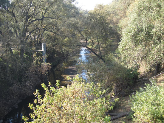 DOWNSTREAM PHOTOGRAPH - DRY CREEK - MODESTO (DCMC1)