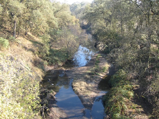 UPSTREAM PHOTOGRAPH - DRY CREEK - MODESTO (DCMC1)