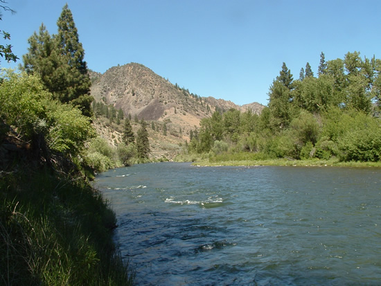 DOWNSTREAM PHOTOGRAPH - TRUCKEE RIVER - FARAD (FARC1)