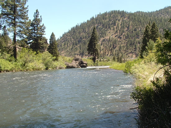 UPSTREAM PHOTOGRAPH - TRUCKEE RIVER - FARAD (FARC1)