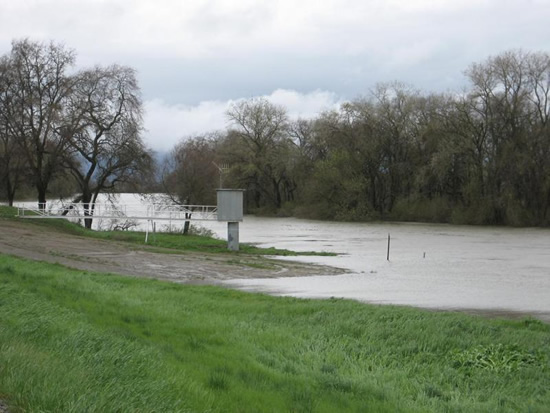 UPSTREAM PHOTOGRAPH - SACRAMENTO RIVER - FREMONT WEIR (FMWC1)