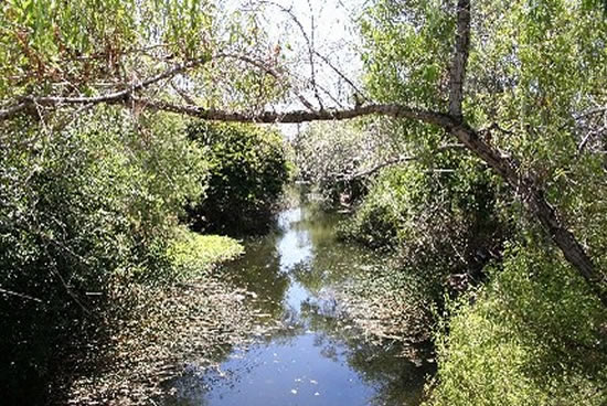 DOWNSTREAM PHOTOGRAPH - SAN DIEGO RIVER - FASHION VALLEY (FSNC1)