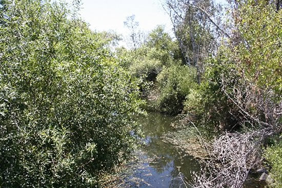 UPSTREAM PHOTOGRAPH - SAN DIEGO RIVER - FASHION VALLEY (FSNC1)