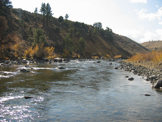 UPSTREAM PHOTOGRAPH - EAST FORK CARSON RIVER - GARDNERVILLE (GRDN2)